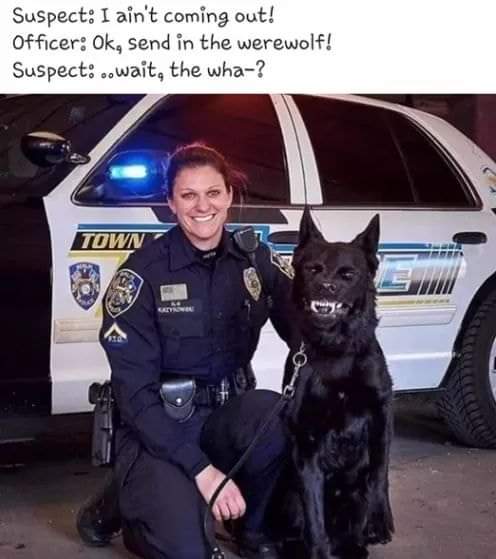 jc3darts_carson's tweet photo. Lol. I love the this. I want a werewolf. Lol #funnymeme #werewolfs. https://t.co/PufpVCyHbI