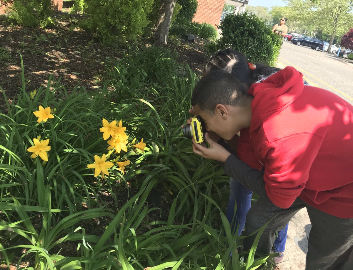 BSMS720's tweet image. Per 9 Ss checking on the flowers we learned about with some photography fun! Still waiting for the peonies! @gless54 @BayShoreMSLrnrs #kidsdeserveit #tlap #dreamleadachieve #learningoutside