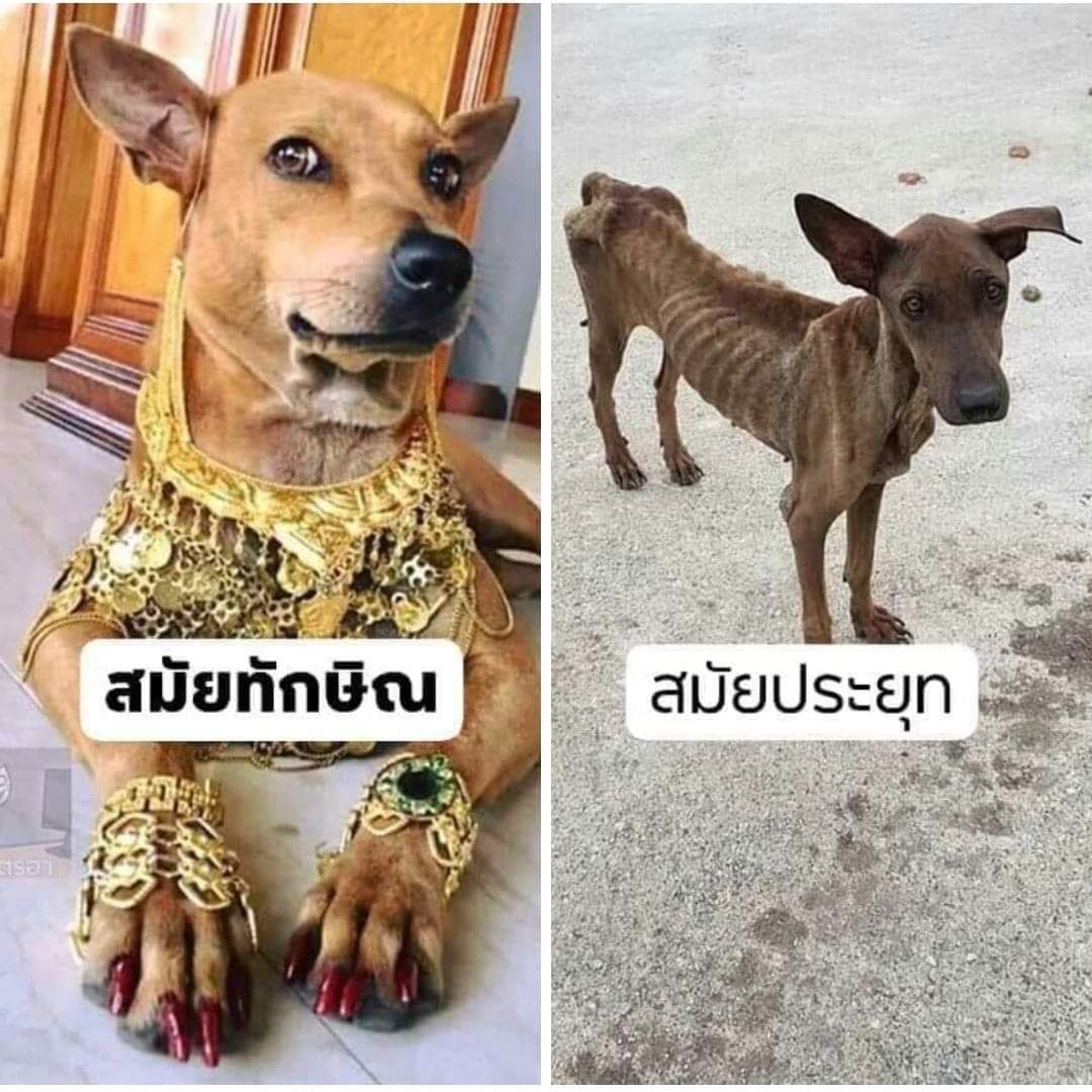 BudsabaZ's tweet photo. https://t.co/Mf7LCHg9o4