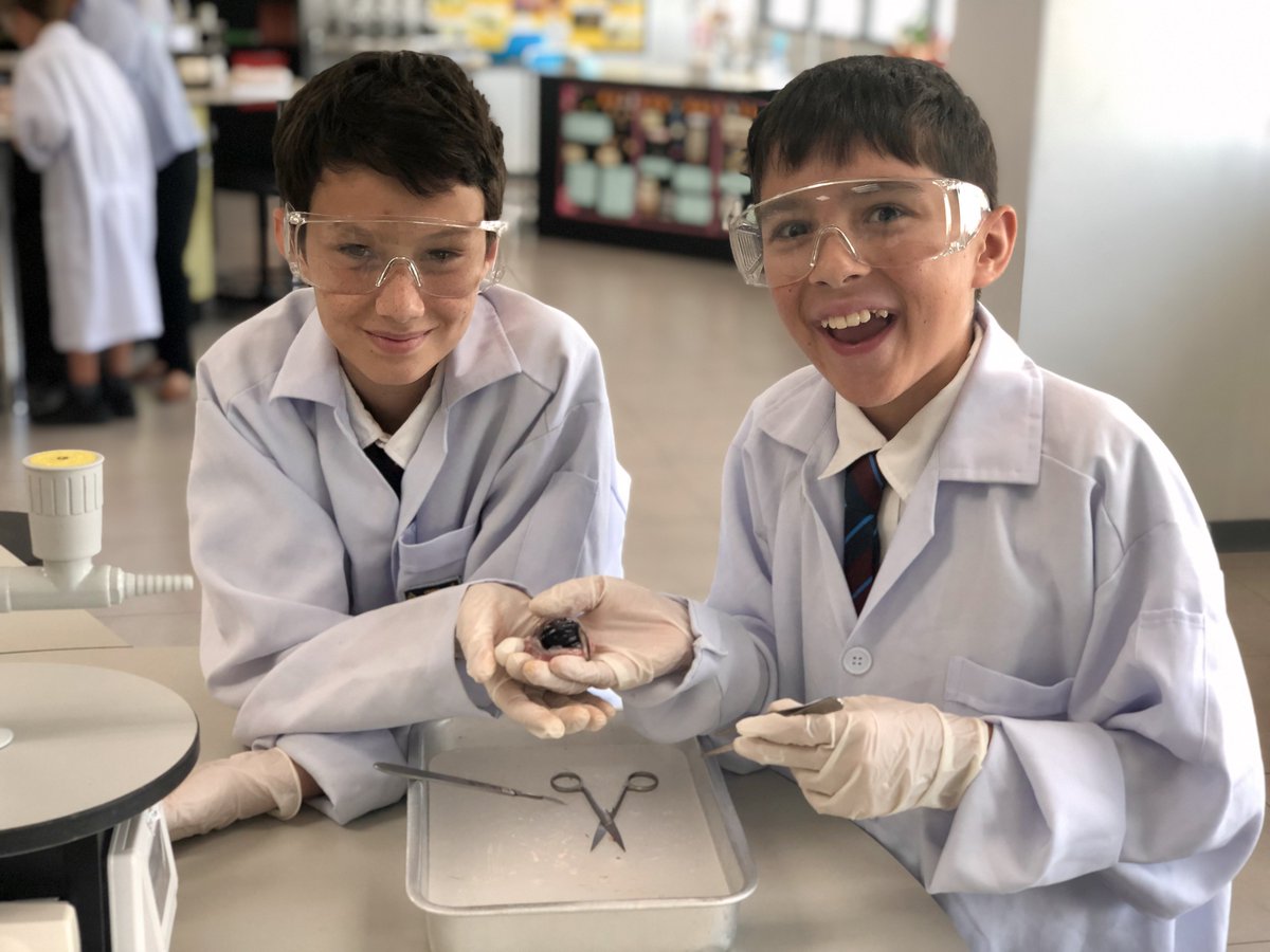 BCBKprepscience's tweet photo. Year 6 pupils learning about the eye with an eye dissection today @BrightonBangkok https://t.co/2cEWjNzynI