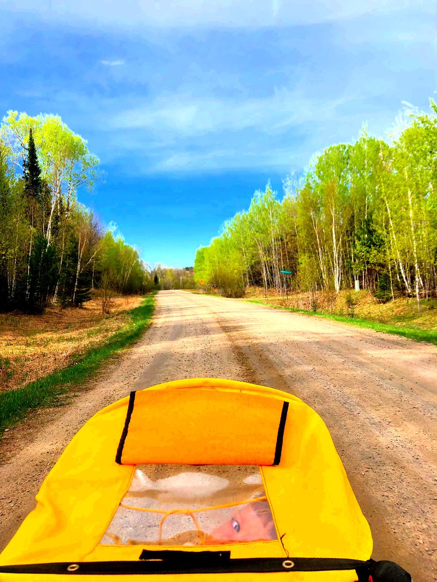 PrayLoveto's tweet image. Spring sets my soul on fire!
.
#BobStroller 
#Running 
.