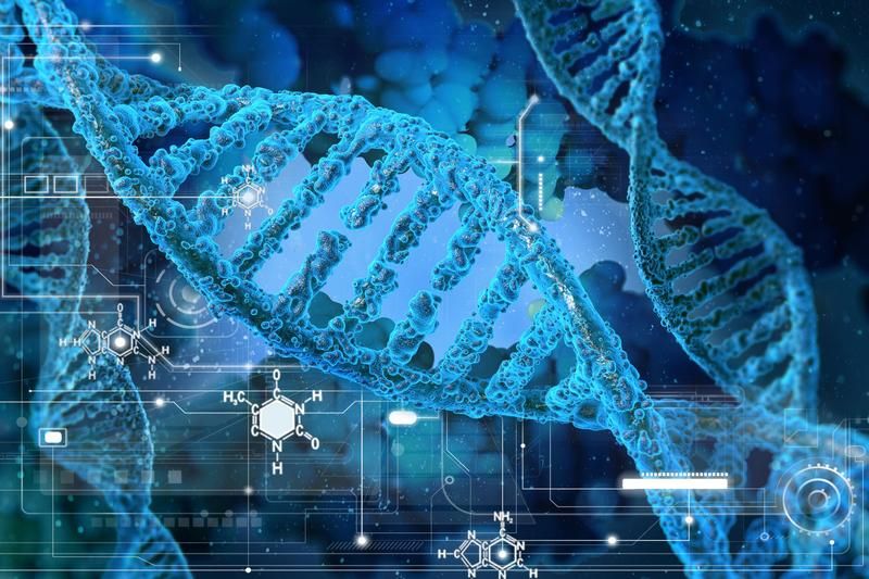 With the potential to take personalisation to new heights, genetic #marketing could be the next frontier in our industry. How would you feel about having hypo-allergenic products, insurance packages or even recipe ideas advertised to you based on your DNA? buff.ly/2VRNCYL