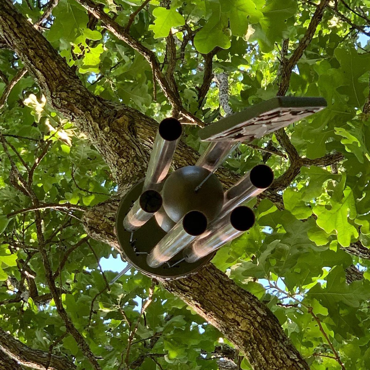 citygirlntn's tweet photo. Lying down @52frames alternative. #52frames #52frames_alternate #lyingdown #lookingup #windchime #weeklyphotochallenge #femaleshutterbugs #citygirlintransition https://t.co/pXfmjUKbSX