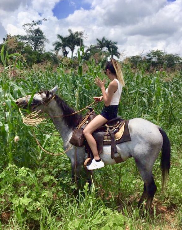 Asian_Amanda's tweet photo. I got the horses in the back, see the allergy attack LMAOOO can’t nobody tell me nothingggg 😌 @LilNasX #OldTownRoadRemix #VinalesValley #Cuba https://t.co/oBSuYVTNME