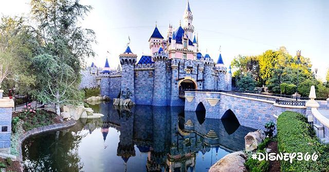 Disney366's tweet photo. Day 2697: Now here's the #Castle #View we have #Missed all year.
#Disney366 @@Disneyland @@DisneylandToday -
LOCATION:
#SleepingBeautyCastle #Fantasyland #MainStreetUSA #Disneyland -
DISNEY:
#Disneyland366 #Disney2019 #Disneyland2019 #Disney #DisneyTi… https://t.co/sHh5MG5jKW https://t.co/PQlgIceCuz