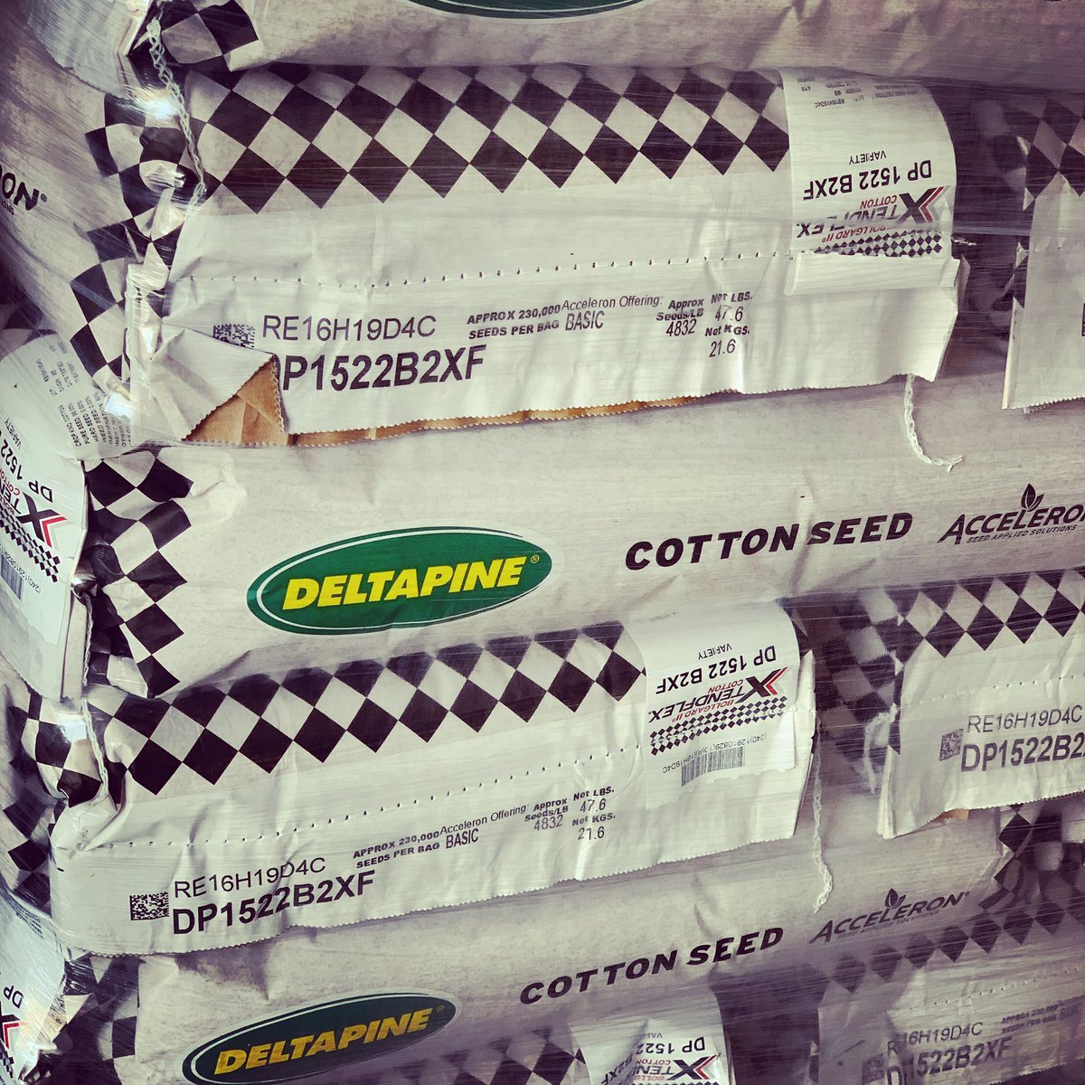 DeltapineT's tweet photo. We hope everyone enjoyed their weekend, and has started the week off well! 

Let us know how planting season is going for ya, and what Deltapine varieties have you planted so far?

This grower planted our DP 1522 B2XF across one of his fields.

#plant19 #westtexastough https://t.co/GdRbhDNW05