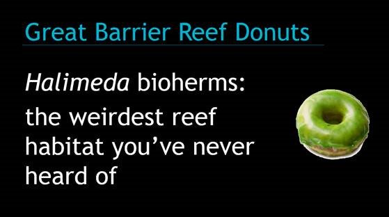 mardi_mcneil's tweet photo. It's a @QUTSciEng #WomenInSTEM double-header tonight at @pintofscienceAU at Sea Legs Brewing Co. Brisbane. Check out my #GreatBarrierReef #Halimeda #Bioherms and some #Pumice hitch-hikers with @pumicegirl #PintAU19 #MarineScience #notcoral https://t.co/8fHPrWNMXK https://t.co/CbrfU5g7df