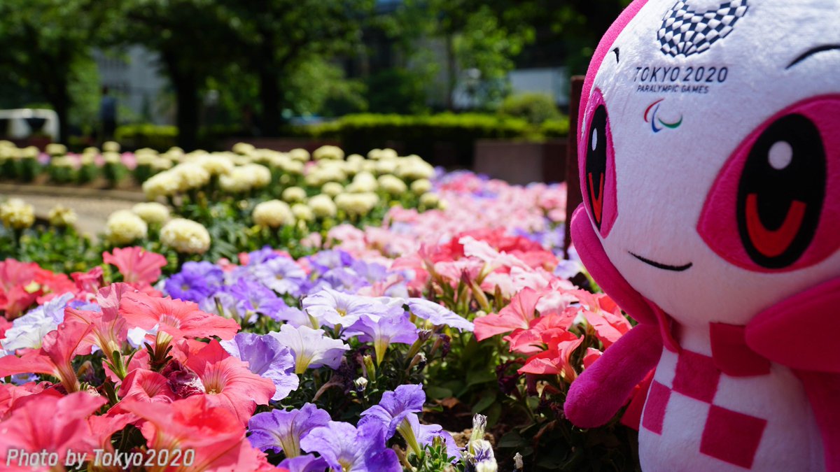 Tokyo2020's tweet photo. Spring has sprung in Tokyo! 🌺😄
Miraitowa and Someity had some fun in the sun watching the beautiful flowers of Tokyo bloom 😍 They’ll be sharing some photos of their recent adventures all week! #TravelTuesday https://t.co/QiiTFhCrYP