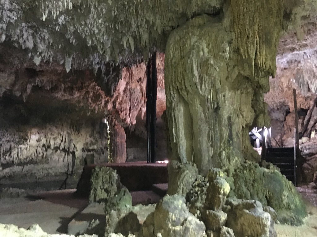 nickixero's tweet photo. After #coba we went to 3 cenotes for a cold swim #chooha #tankcachha #multumha although we weren't able to swim choo-ha they let us film there , it's so eerie, deep into the earth #mexico https://t.co/crt8ODGUos