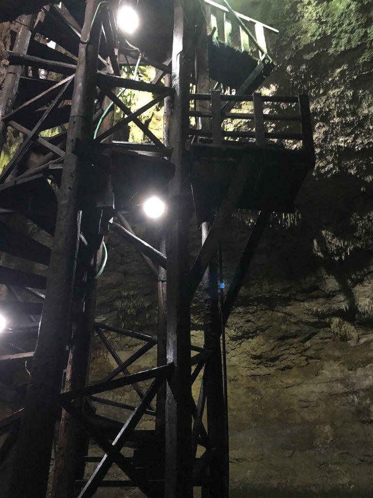 nickixero's tweet photo. After #coba we went to 3 cenotes for a cold swim #chooha #tankcachha #multumha although we weren't able to swim choo-ha they let us film there , it's so eerie, deep into the earth #mexico https://t.co/crt8ODGUos
