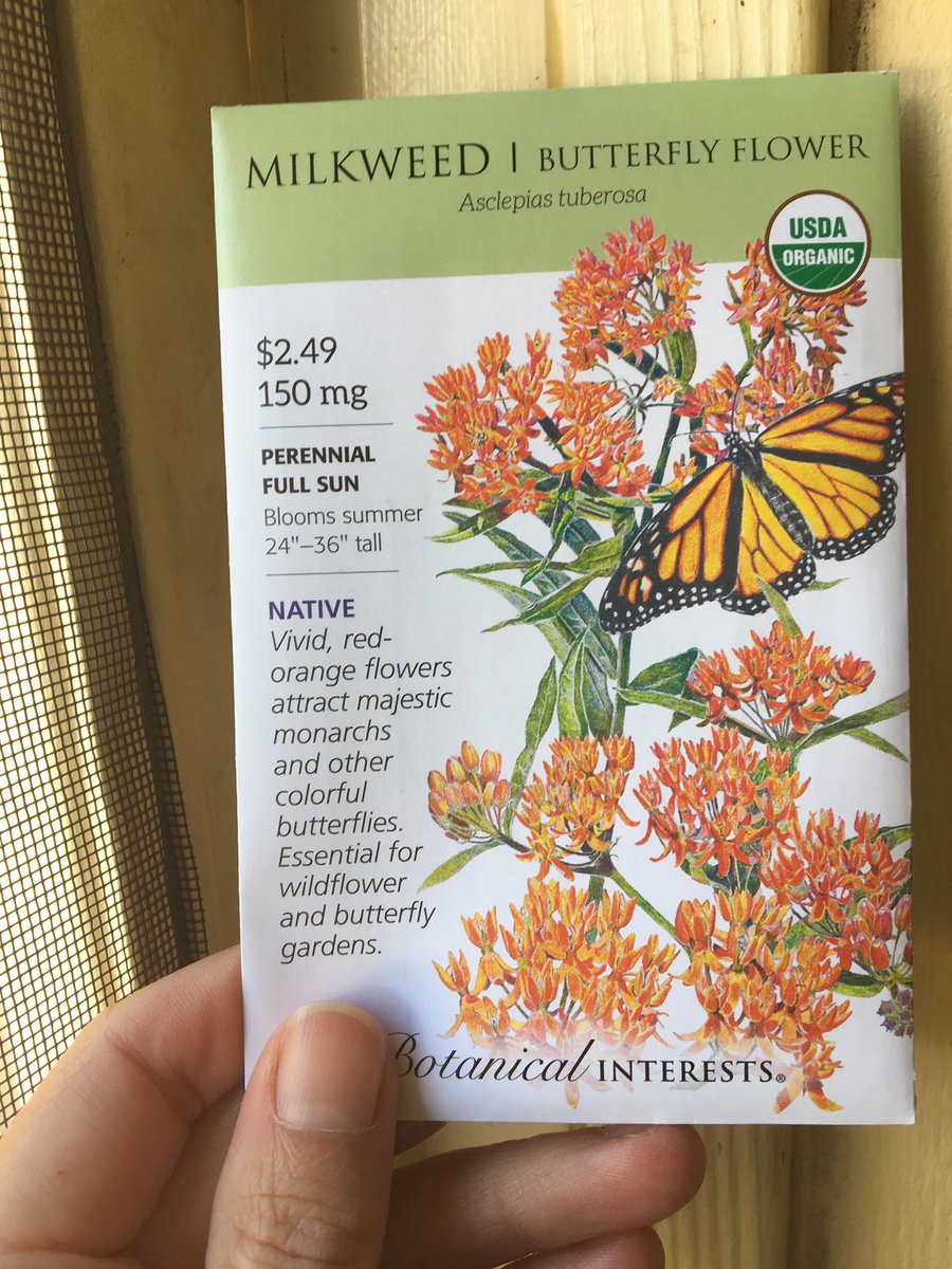 Happy world bee day. Small plantings at home can provide great support for our pollinators.