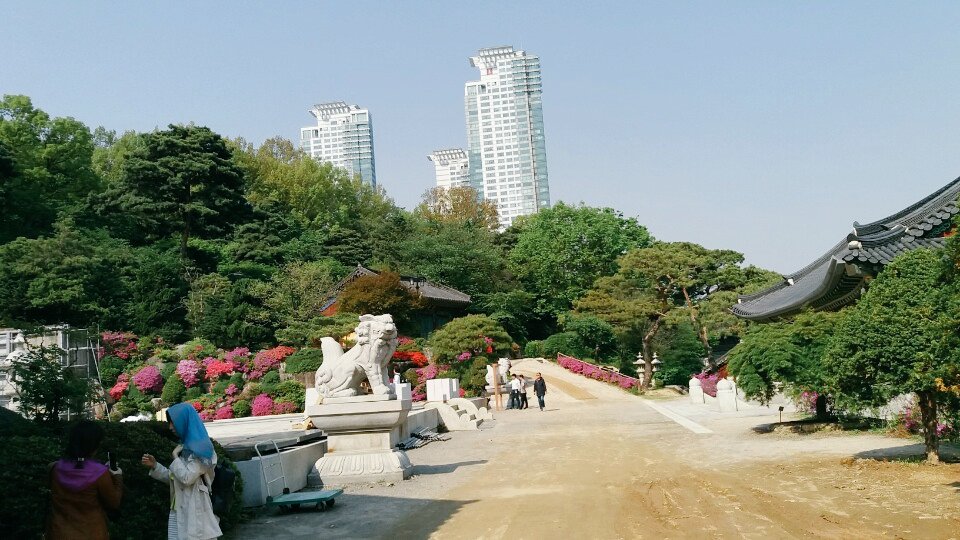 김희숙 tweet media