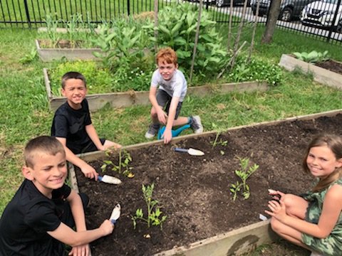 jmbcsammy's tweet photo. More than 80 UPE gardeners out today getting things growing! Big thanks for job well done @BelieveUPE πππ± @sparkleyleslie @MrsLandis3 @MrPenceUPE #getitgrowing https://t.co/eqKxrgBa6o