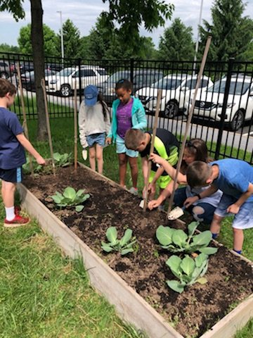 jmbcsammy's tweet photo. More than 80 UPE gardeners out today getting things growing! Big thanks for job well done @BelieveUPE πππ± @sparkleyleslie @MrsLandis3 @MrPenceUPE #getitgrowing https://t.co/eqKxrgBa6o