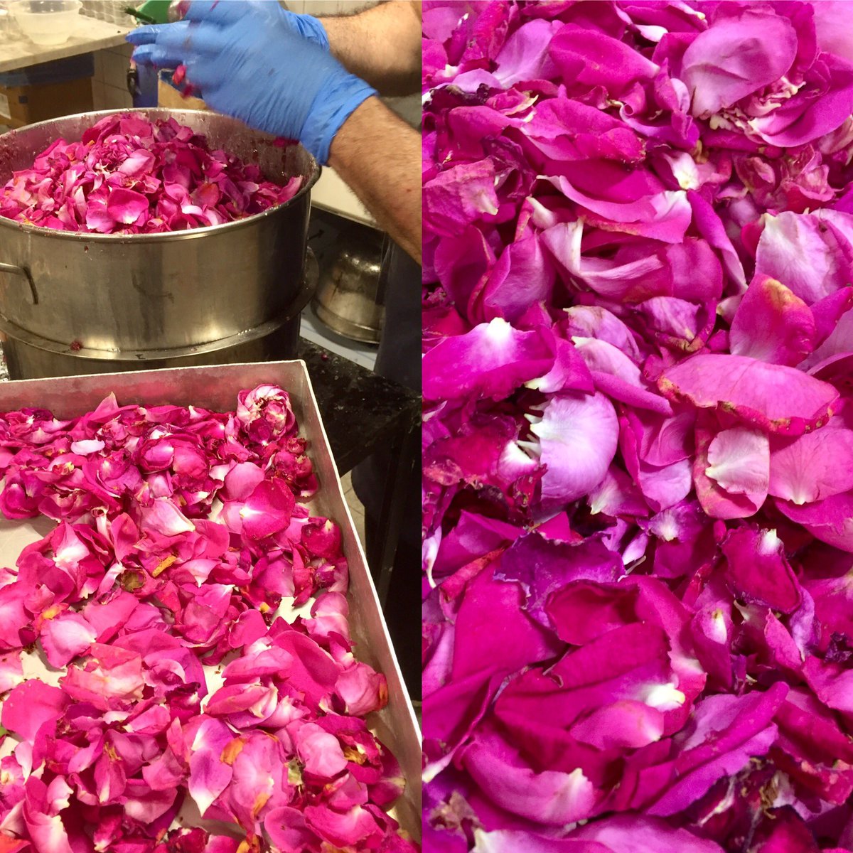 Lavorazioni stagionali in corso 

Conserva di petali di rosa 

Seasonal production work in progress 

Rose petal jam 

romanengo.com