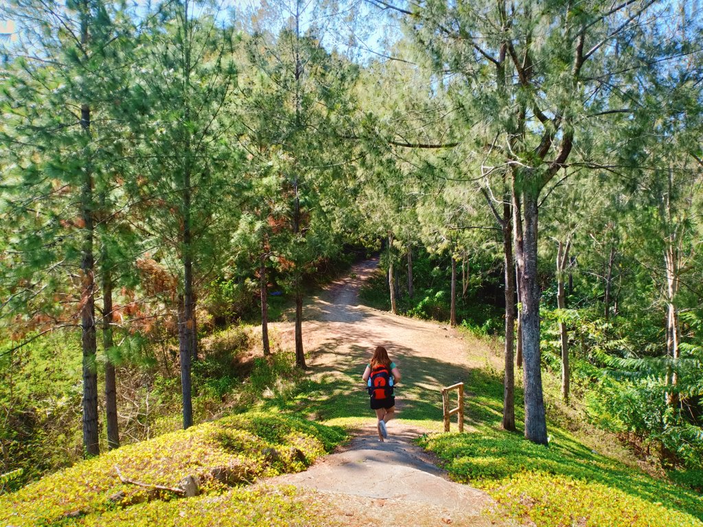 Walked 8kms from Malasag Highway to Mapawa Nature Park.
#holyweek #tbt #photography #photo #photooftheday #amazing #nature #naturelover #ph #photograph
