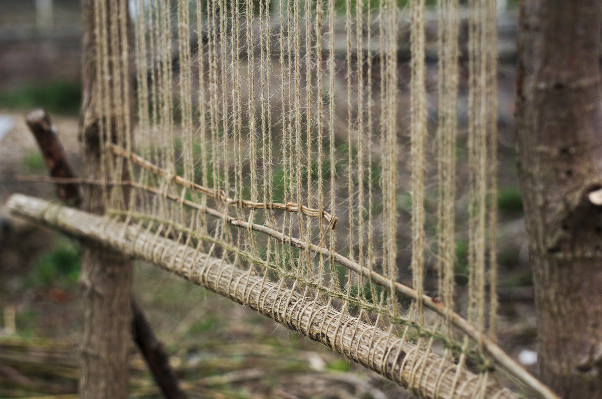 Walled Garden tweet media