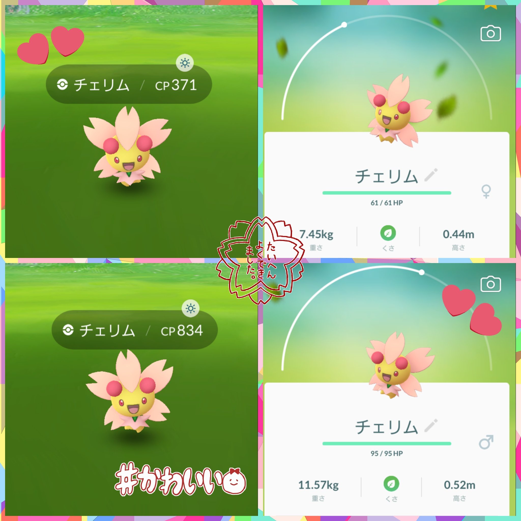 ポジフォルム Twitter Search Twitter