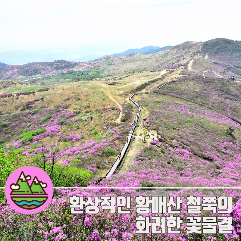 <🌺환상적인 #황매산_철쭉 구경가기🌺>

이맘때쯤 황매산이 굉장히 인기 있다고 하는데..
그 이유는? 바로바로 철.쭉!!!🌺

진분홍이 산 전체를 덮고있는 이 #환상적인_장관 이
여러분의 눈앞에 펼쳐집니다🤲

▶ bit.ly/2QdKmAM
▶ bit.ly/2HtBEfd