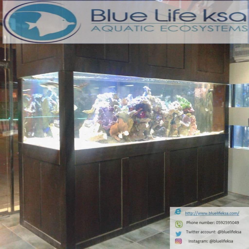 Aquariums in Saudi (@bluelifeksa) / Posts / X