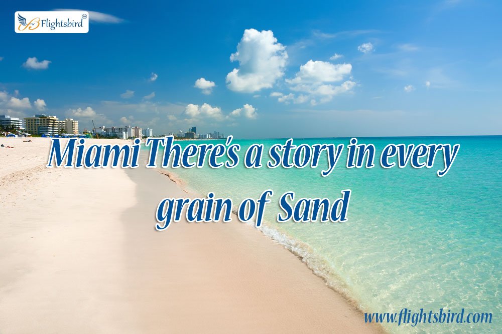 flightsbird's tweet photo. Miami There’s a story in every grain of Sand

Visit: https://t.co/Wxqdnrdrqm https://t.co/SeJsdoasGw