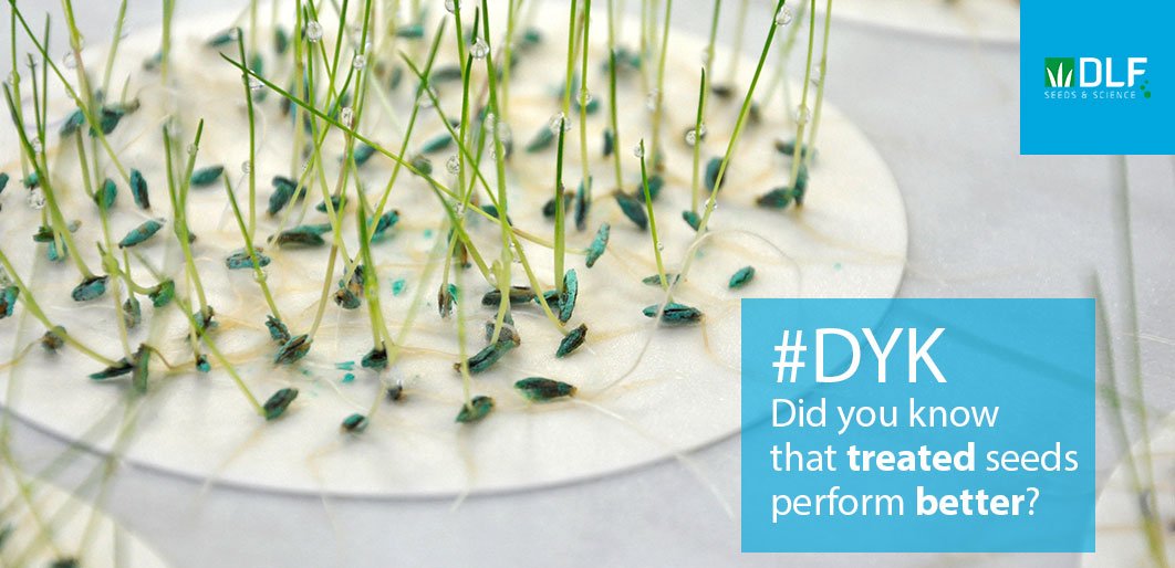 DLF_Seeds's tweet image. Did you know that treated seeds perform better? Treated seeds have a much better chance of thriving under adverse conditions when untreated seeds might be challenged: bit.ly/2HFtwaj #DYK #SeedsAndScience #SeedTech #TreatedSeed #ProfessionalTurf