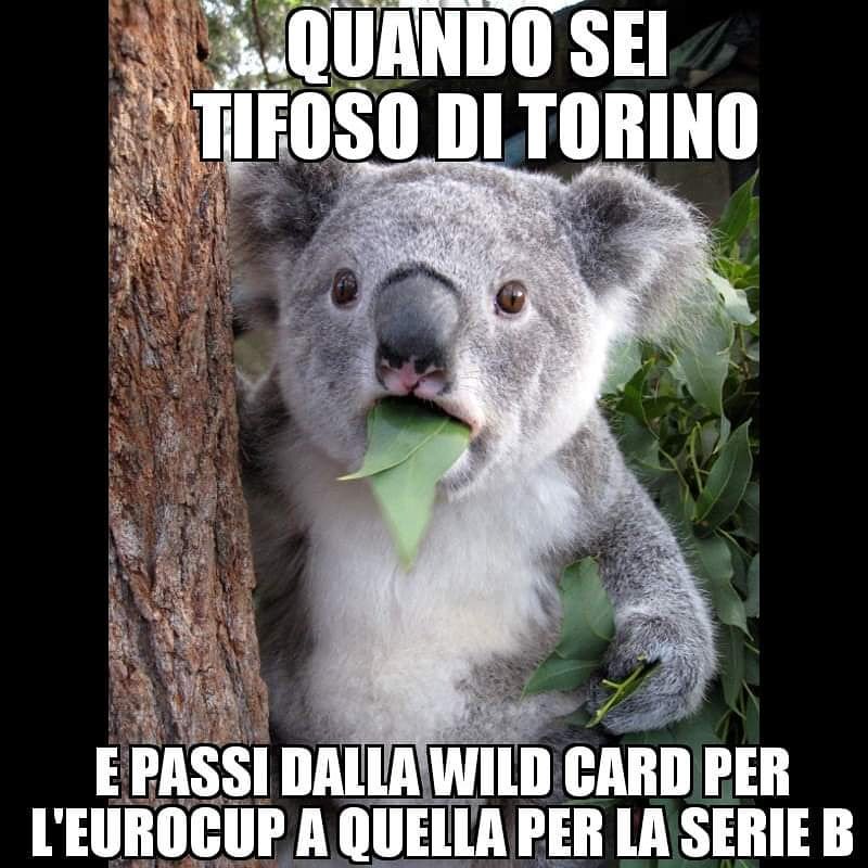 PipuCuore's tweet photo. #uaildcard #AuxiliumTorino #ignoranzagialloblu #FIAT #Torino #FiatTorino #basketball #LBA #eurosportplayer #eurosport #Raisport #SettimanaDecisiva #AntonioForni #ClosingFinale #FIP #GianniPetrucci #CordataPiemontese #GiovanniPaoloTerzolo #MassimoFeira #educatamente https://t.co/X9kfwnwA7D