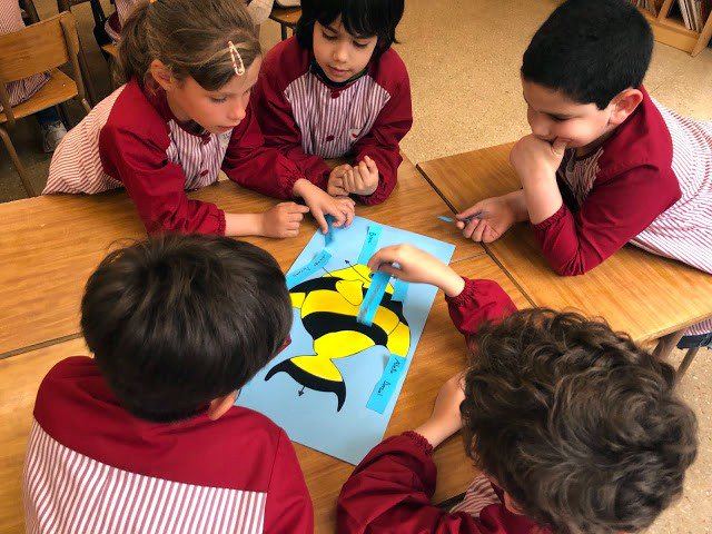 ImmaVedruna's tweet image. Els #Detectius i els #Amics de #1rPRIM han pintat per grups un peix amb ceres i després, amb la informació que tenim a l’aula (ordinador, llibres, imatges) han senyalat les diferents parts. I què bé han treballat de forma cooperativa!
#intensament