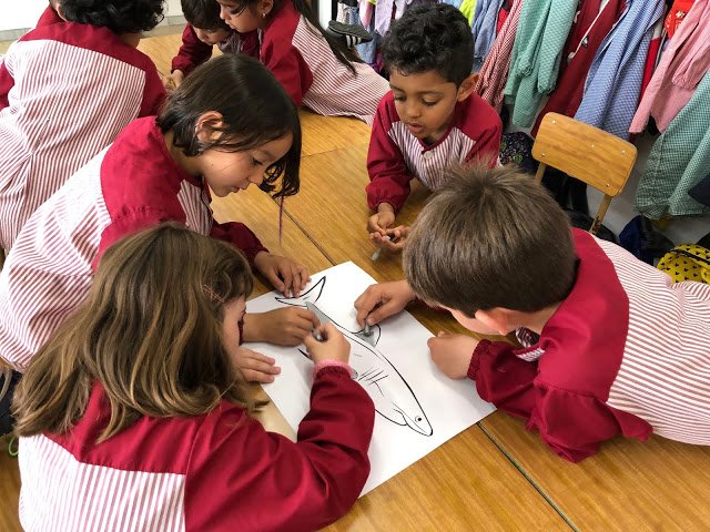 ImmaVedruna's tweet image. Els #Detectius i els #Amics de #1rPRIM han pintat per grups un peix amb ceres i després, amb la informació que tenim a l’aula (ordinador, llibres, imatges) han senyalat les diferents parts. I què bé han treballat de forma cooperativa!
#intensament