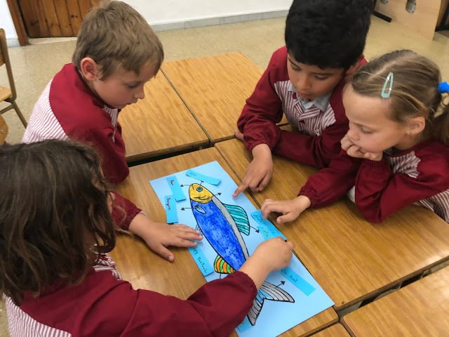 ImmaVedruna's tweet image. Els #Detectius i els #Amics de #1rPRIM han pintat per grups un peix amb ceres i després, amb la informació que tenim a l’aula (ordinador, llibres, imatges) han senyalat les diferents parts. I què bé han treballat de forma cooperativa!
#intensament