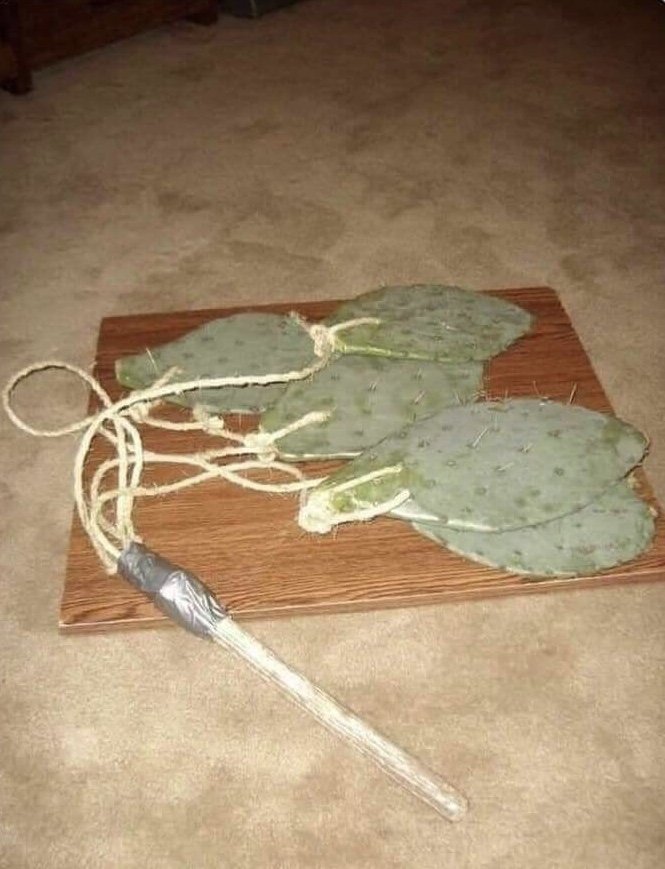 DivnusEques's tweet photo. Ameera texted me she finally found a weapon to take revenge on me.

I asked her what it was and she showed me this. 

I've never been more disappointed. https://t.co/1fixyQlYsg