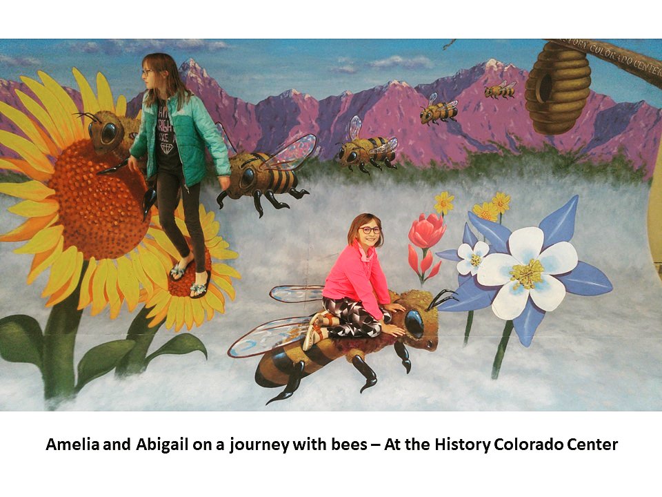 Sweet dreams my children. Dream of an enchanted world full of amazing #Bees.

Happy #WorldBeeDay.

A fun #Art Mural at the #HistoryColoradoCenter