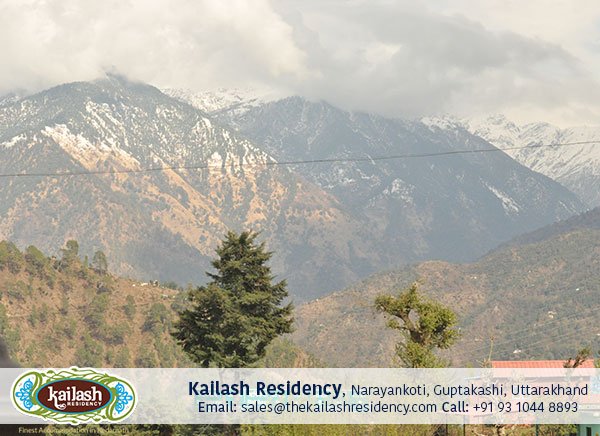 Kailash Residency (@kailashresiden) on Twitter photo Best #StayPoint in #Guptkashi, #Hotel #KailashResidency
Contact:
+91 93 1044 8893
sales@thekailashresidency.com
thekailashresidency.com Best #StayPoint in #Guptkashi, #Hotel #KailashResidency
Contact:
+91 93 1044 8893
sales@thekailashresidency.com
thekailashresidency.com