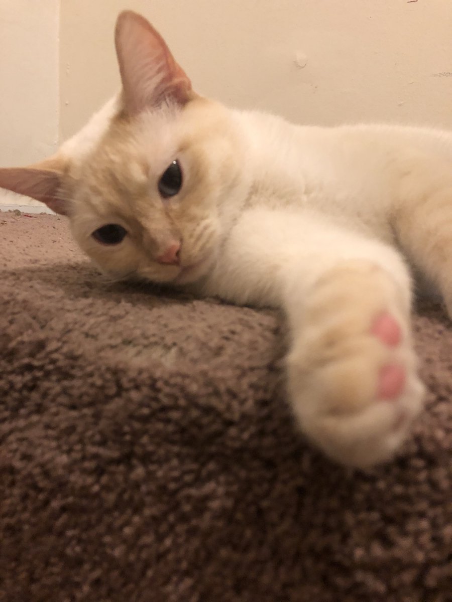 _penywise_'s tweet photo. tootsies, comrade? https://t.co/5yygUglSsJ