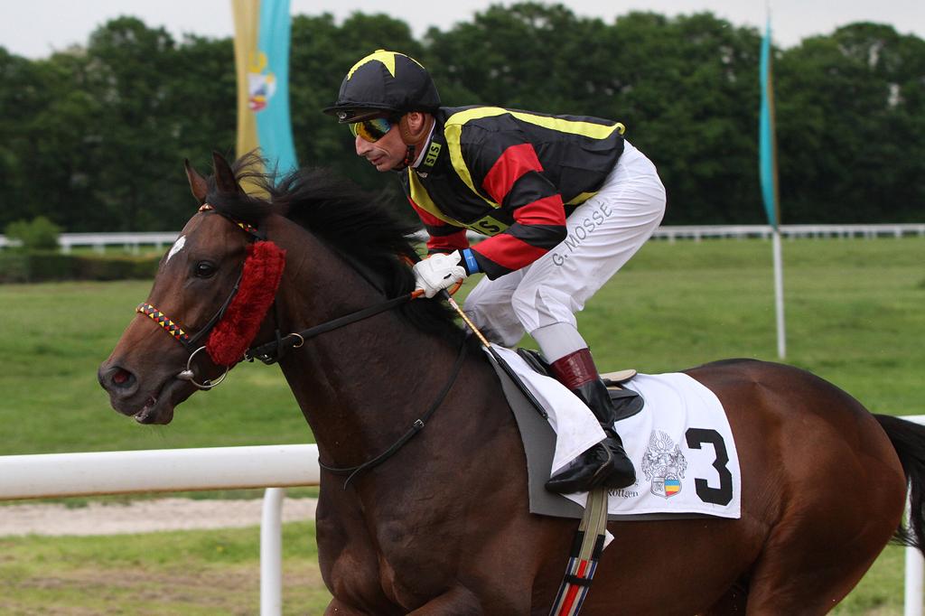 DrJohnnyHon's tweet photo. I was in great company in Cologne, Germany this weekend and was very pleased with #GlobalSpectrum’s performance in finishing 5th in the Group 2 Mehl-Mulhens-Rennen. Now aiming for Royal Ascot!
#drjohnnyhon #globalgrouphk #horseracing https://t.co/AJ3lkyFmMi