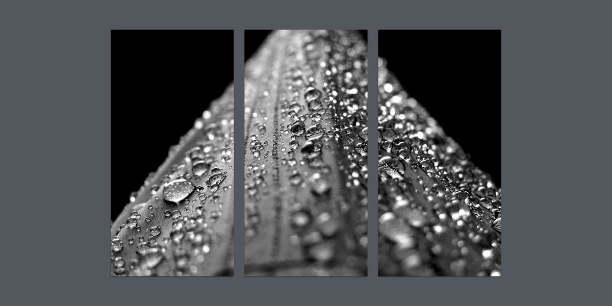 1331Paca's tweet photo. #Subligraphie L’art de sublimer la matière et de vous surprendre ! 👀#décoration #murale #photographie #impression #HD #sublimation #aluminium #art ➡️ @atelier1331 https://t.co/QQggzLRERJ https://t.co/uSPKcgfHBX