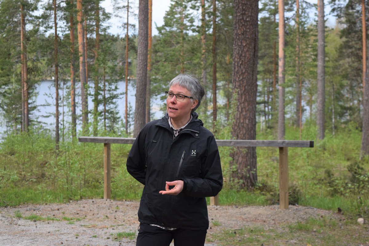 Openmetsa's tweet photo. Liisa Kajala Metsähallituksesta piti teamcampilaisille ajankohtaisen puheenvuoron Punkaharjun kansallismaisemissa. #digicampus https://t.co/ZH4Ski4FAN
