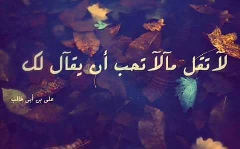 Sayedbasher5's tweet image. 