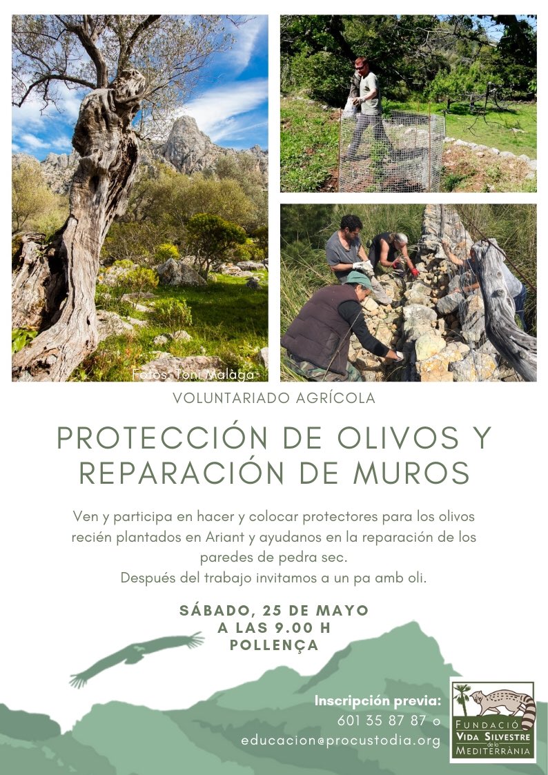 FVSM4's tweet photo. Bon dia. Ja tenim aquí l’activitat de #VoluntariatAgrícola d’aquest mes de maig de la FVSM. Serà, com sempre, el darrer dissabte de mes, i repetirem a #Ariant. Gràcies per la vostra col•laboració. Cal inscriure’s prèviament 👍🏻 https://t.co/a902NpSqzt