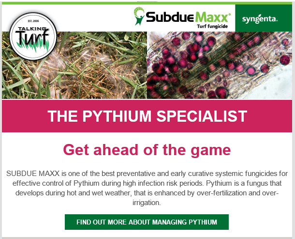 Talking_Turf's tweet image. #SubdueMaxx the #Pythium #Specialist. 🌱
Click the link below to find out more: 
talkingturf.co.za/product/subdue…