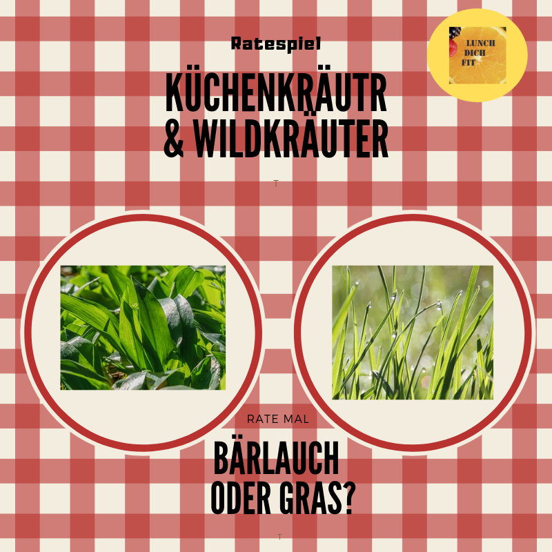 lunchdichfit's tweet photo. Im Mai sprießen die #Wildkräuter in der Natur. Besonders Bärlauch ist nicht nur ein kulinarisches sondern auch ein gesundheitliches Highlight. Er wirkt entgiftend, senkt Bluthochdruck und Cholesterin. 💪 
#lunchdichfit #kräuter #gewürze #healthyfood #gesundleben https://t.co/6M2d0pSbaa