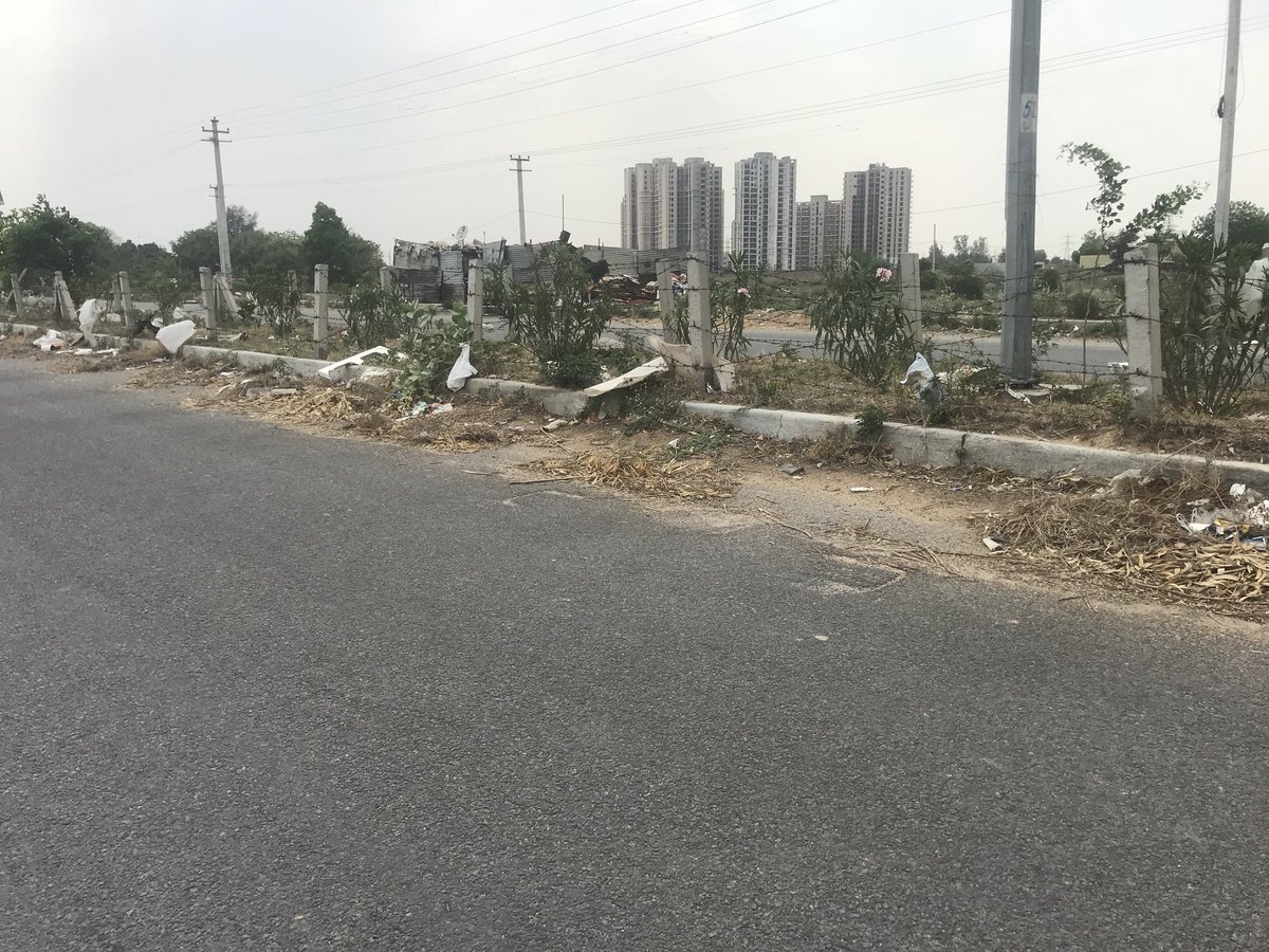 Praveenmalik86's tweet photo. @CPCB_OFFICIAL This is the conditions of Green Belts in #NewGurugram sectors,we residents intended to grow more trees and doing same inside the societies, but how about Govt. Agencies @GurugramMDA @MunCorpGurugram @Dist_Admin_Ggm 
We urge and request to maintain the Green belts @RWASAREHOMES92 https://t.co/PD8cM0DF6B