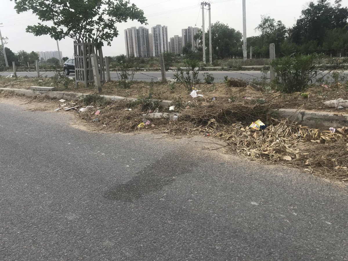 Praveenmalik86's tweet photo. @CPCB_OFFICIAL This is the conditions of Green Belts in #NewGurugram sectors,we residents intended to grow more trees and doing same inside the societies, but how about Govt. Agencies @GurugramMDA @MunCorpGurugram @Dist_Admin_Ggm 
We urge and request to maintain the Green belts @RWASAREHOMES92 https://t.co/PD8cM0DF6B