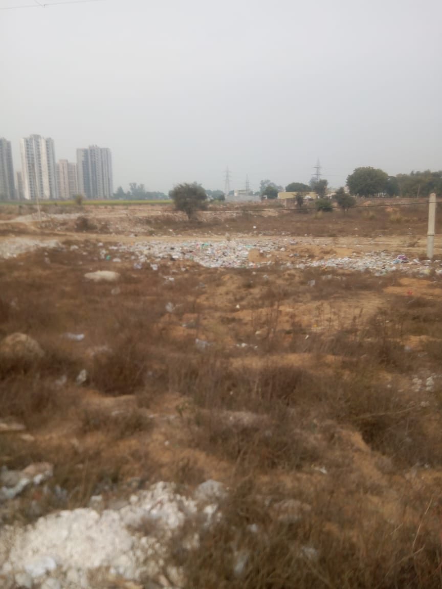 Praveenmalik86's tweet photo. @CPCB_OFFICIAL This is the conditions of Green Belts in #NewGurugram sectors,we residents intended to grow more trees and doing same inside the societies, but how about Govt. Agencies @GurugramMDA @MunCorpGurugram @Dist_Admin_Ggm 
We urge and request to maintain the Green belts @RWASAREHOMES92 https://t.co/PD8cM0DF6B