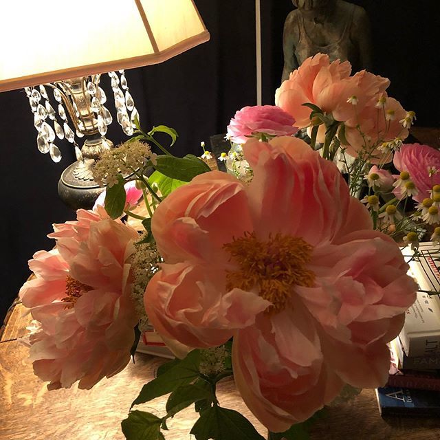 Pinotmom's tweet photo. Currently obsessed with spring blooms. These peonies remind of something Mae West once said, “You only live once, but if you do it right once is enough “
.
.
.
#peonie #springflower #maewest #springtimeinoregon #wvwines #oregonwinecountry #theplantsareon… https://t.co/igFzPKiWv3 https://t.co/ddyTwcEdzu