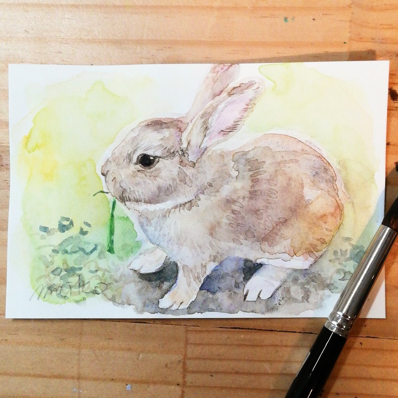 うさぎの独り言　水彩画　自己流　動物好き fululu on X: 