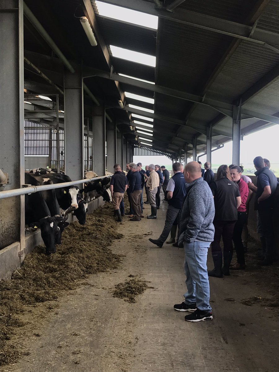 Arkvetcentre's tweet photo. Great turn out for a fantastic talk from Prof. Mike Overton! Good to get in to the finer details of transition management with thought provoking figures. Huge thanks to @GarethJOwen  for hosting.  
Also thank you to Mike and @Elanco for visiting some clients after the talk! https://t.co/K08mG7etuh