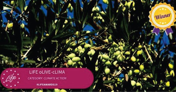 Βραβείο στα LIFE AWARDS 2019, για το Ελληνικό έργο oLIVE CLIMA
oliveclima.eu/news/%ce%b2%cf…