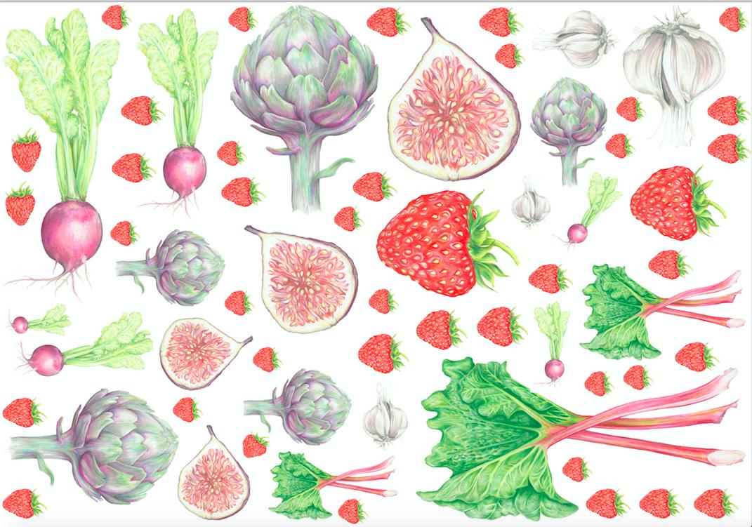 What a gorgeous morning! I have been busy squeezing as much onto my sample china sheet as I possibly can! There maybe room for more?? #sample #artist #Suffolk #finebonechina #test #SBS #botanical #fruit #vegetable #love #luxury #interior