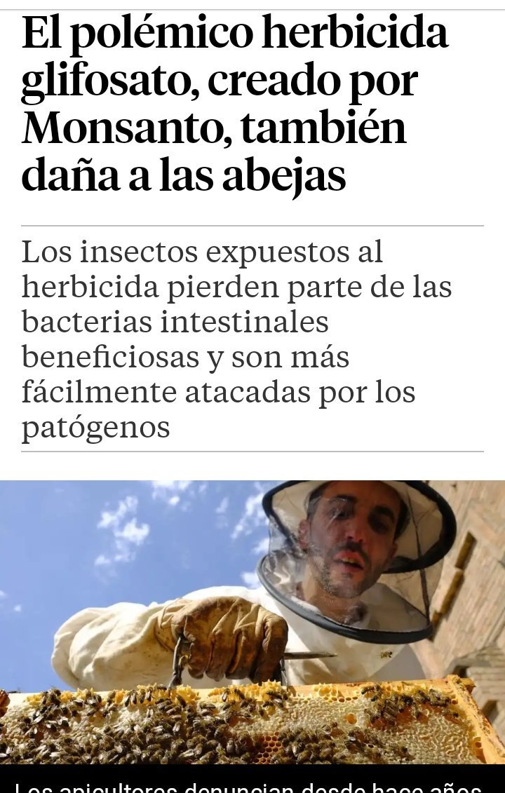 libreessure's tweet photo. @Bayer4CropsES @BayerEspana @richardborrean1 @LauFdz12 @Bayer4CropsEU @Bayer4Crops @javipd82 @quefort @AnoveObtentores @aepla_asoc @bioamara Tantas incongruencias

Abejas  y #glifosato 

Mujeres y #essure
Enfermas para curar y proteger?

No parece que tengas muy claro el camino!

Te voy a regalar un refrán español!
En un nido debes de decidir o tienes pájaros o te comes los huevos!

@AEMPSGOB 
@sanidadgob 
#abejas https://t.co/nqqVHZIdzI